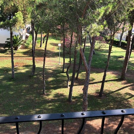 Studio 150M De La Mer Argeles-sur-Mer Bagian luar foto