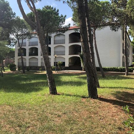 Studio 150M De La Mer Argeles-sur-Mer Bagian luar foto
